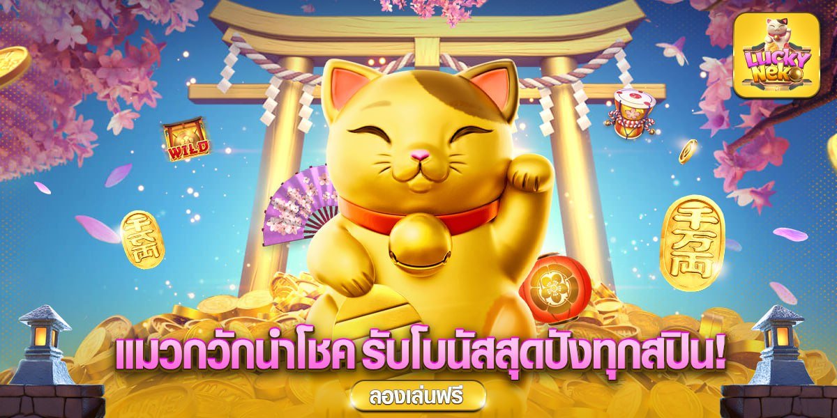 photo_2568-10-23 23.13.01